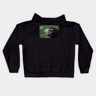 Wedge-Tailed Eagle Portrait Kids Hoodie